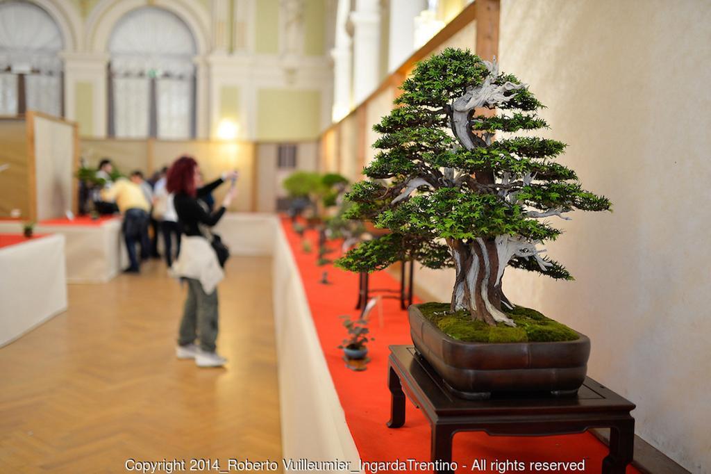 Albergo Ristorante Da Neni Mori Zewnętrze zdjęcie